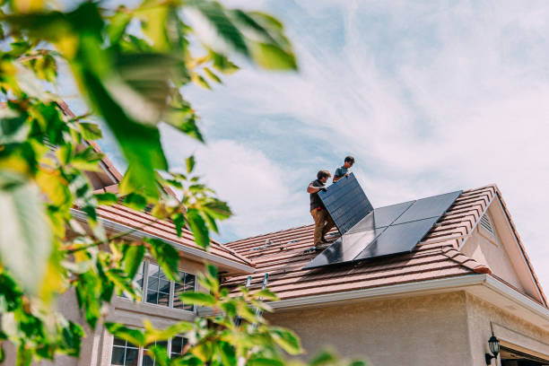 Best Roof Moss and Algae Removal  in Crockett, CA